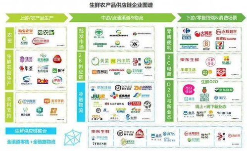 農(nóng)產(chǎn)品供應(yīng)鏈 阿里、京東、順豐、拼多多的布局與魔力經(jīng)紀(jì)管理系統(tǒng)的核心作用