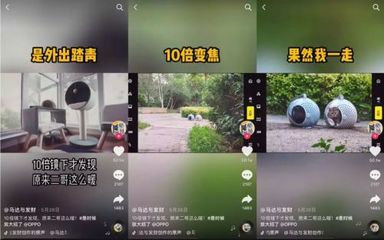 在抖音，如何借力「中能魔力」經(jīng)紀(jì)管理系統(tǒng)，精準(zhǔn)捧紅一只貓？